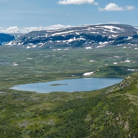 The By Hallingskarvet Hol (Buskerud)