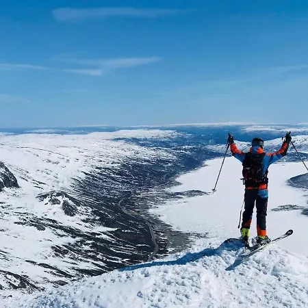 The By Hallingskarvet * Hol (Buskerud)