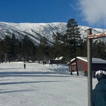 The By Hallingskarvet Hol (Buskerud)